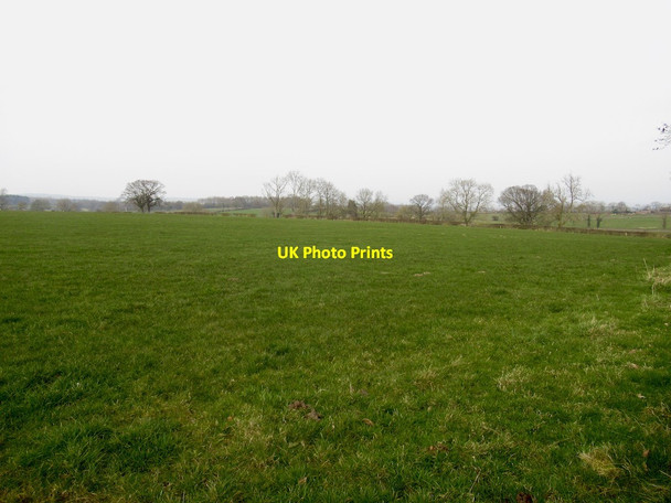 Photo 6"x4" Field, Carr Bank Newby Head c2022