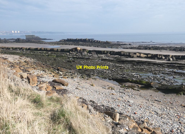 Photo 6"x4" Stratified coastal rocks Kinghorn\/NT2686 c2022