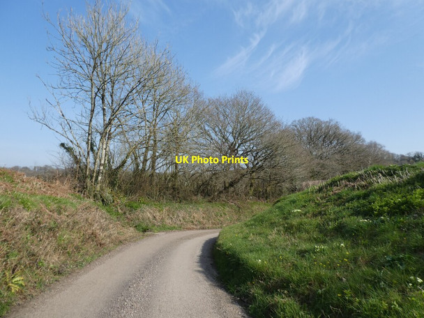 Photo 6"x4" Minor road to Holm Cross Brushford\/SS6707 c2022