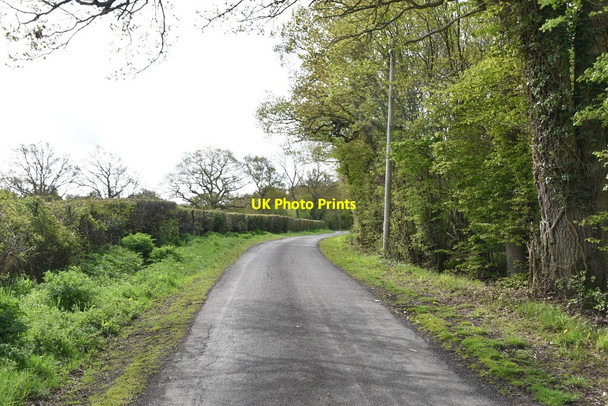 Photo 6"x4" Wagstaff Lane Stede Quarter c2021