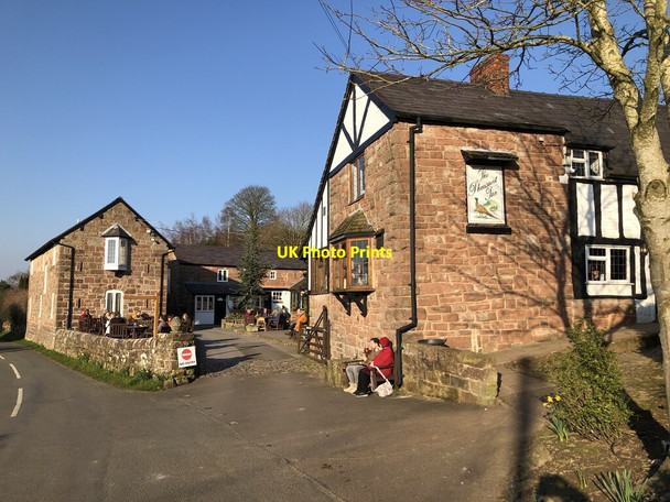 Photo 6"x4" The Pheasant Inn, Higher Burwardsley Higher Burwardsley c2022