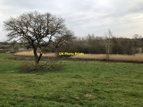 Photo 6"x4" Peckforton Mere Beeston\/SJ5458 c2022