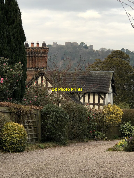 Photo 6"x4" Moathouse Farm Beeston\/SJ5458 c2022