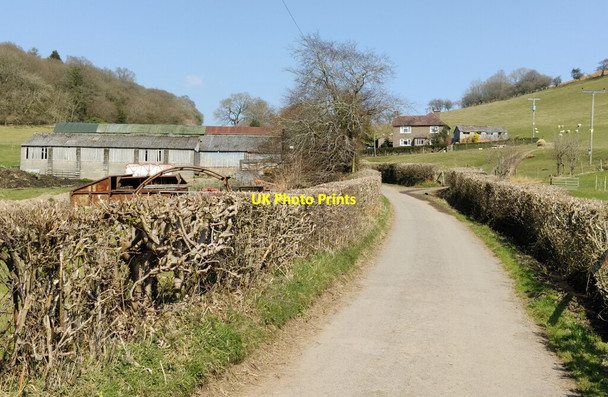 Photo 6"x4" Track to Gaerstones Farm Hazler c2022