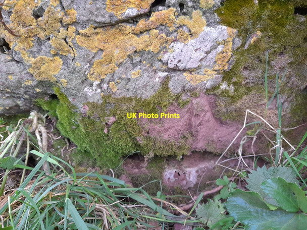 Photo 6"x4" Ordnance Survey Cut Mark Herbrandston c2022