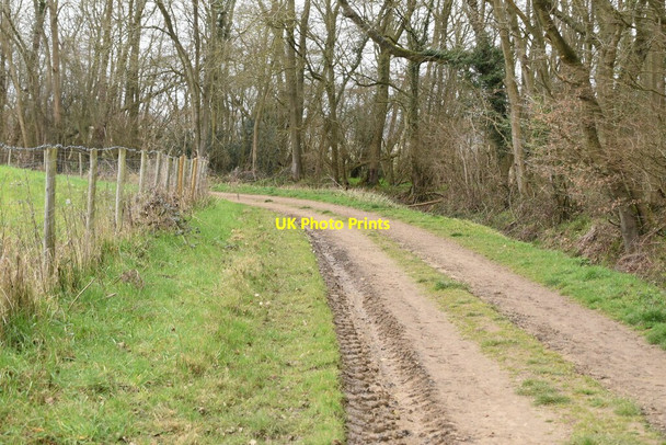 Photo 6"x4" Footpath \/ track Hunton\/TQ7149 c2021