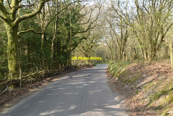 Photo 6"x4" Gangers Hill Tyler's Green\/TQ3552 c2021