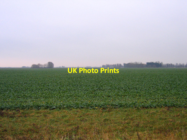 Photo 6"x4" Farmland, Baston Fen, Lincs Baston c2006