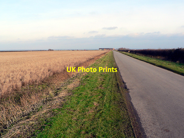 Photo 6"x4" Metheringham Fen Wasps Nest c2006