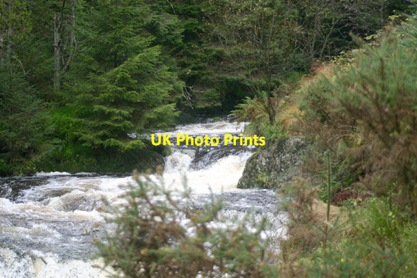 Photo 6"x4" River Severn \/ Afon Hafren Hafren Forest c2005