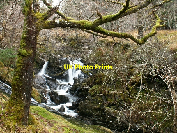 Photo 6"x4" Glen Dubh Lighe Glenfinnan c2006