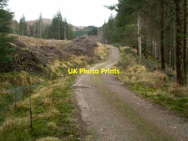 Photo 6"x4" Central Glen Dubh Lighe Kinlocheil c2006