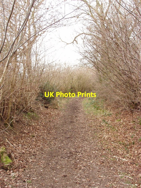 Photo 6"x4" Bridleway, Green Lane from White End to Chesham Chesham\/SP9601 c2006