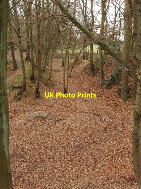 Photo 6"x4" Old clay pits, Cowcroft Woods, Botley Chesham\/SP9601 c2006
