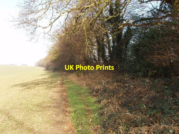 Photo 6"x4" Flackwell Heath fieldpath Sheepridge\/SU8889 c2006