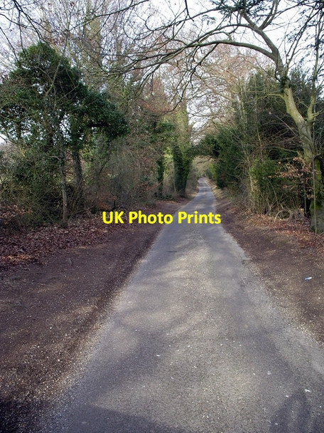 Photo 6"x4" Minor road to Windmill Hill Crawley\/SU4234 c2006