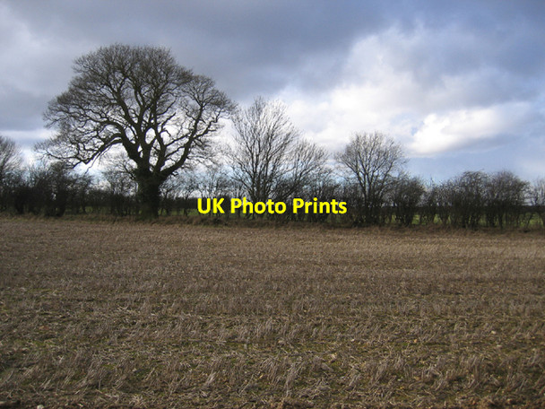 Photo 6"x4" Farmland NW of Weasenham All Saints, Norfolk Rougham\/TF8320 c2006