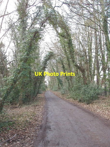 Photo 6"x4" Track to Warren Farm, Chalfont St Giles Stratton Chase c2006