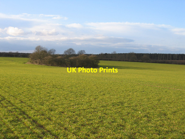 Photo 6"x4" Overgrown marlpit, Weasenham All Saints, Norfolk Weasenham All Saints c2006
