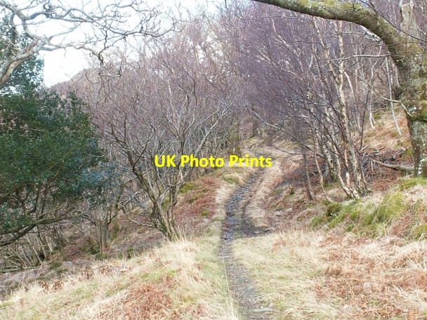 Photo 6"x4" Post road to Glen Uig Alisary c2006