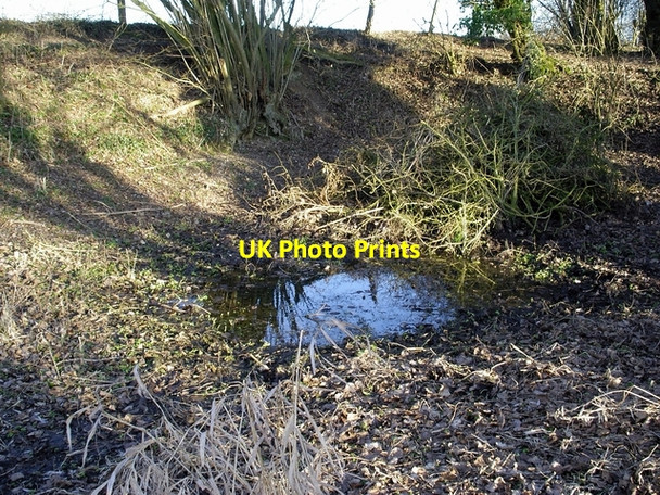 Photo 6"x4" Source of the River Itchen Cheriton\/SU5828 c2006