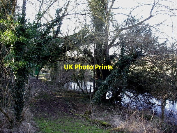 Photo 6"x4" River Itchen north of Alresford Road New Alresford c2006