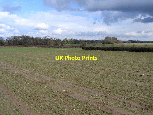 Photo 6"x4" Farmland, Wigborough, South Petherton, Somerset Lower Stratton\/ST4415 c2006
