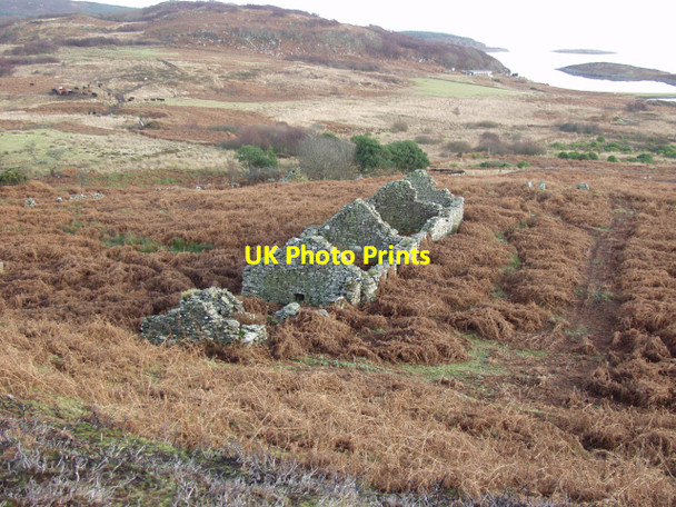 Photo 6"x4" Low Stillaig Portavadie c2006