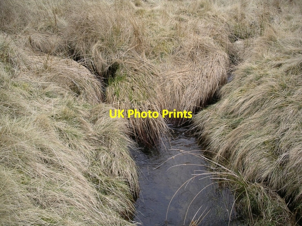 Photo 6"x4" Confluence, Longcote Burn Eddleston c2006
