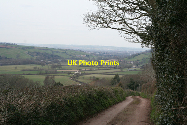 Photo 6"x4" Bradninch: lane east of Washbeerhayes Farm Langford\/ST0202 c2006