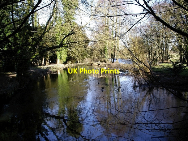 Photo 6"x4" River Itchen between Itchen Abbas and Avington Park Avington\/SU5332 c2006 P1