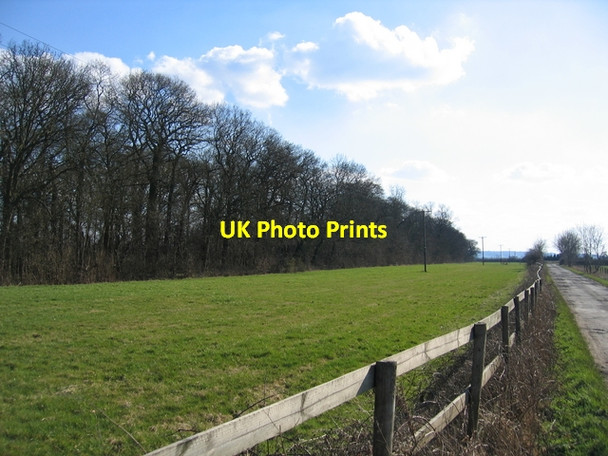 Photo 6"x4" The Long Spinney Marston Doles c2006