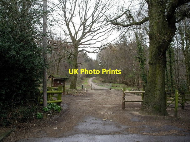 Photo 6"x4" Stoke Park Wood, Bishopstoke Eastleigh\/SU4519 c2006
