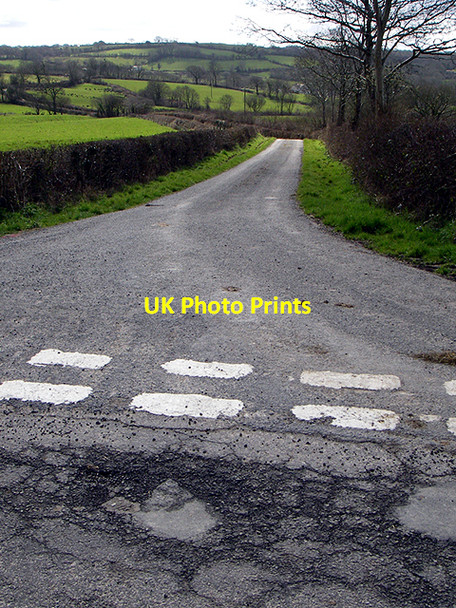 Photo 6"x4" Country lane Nant\/SN4319 c2006