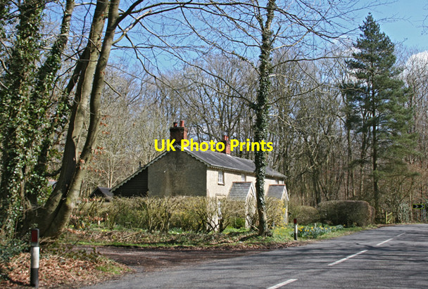 Photo 6"x4" Cottages in woodland Charlwood\/SU6731 c2006