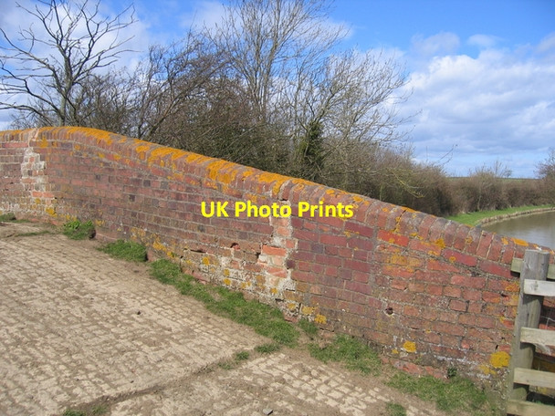Photo 6"x4" Yellow Lichen Priors Hardwick c2006