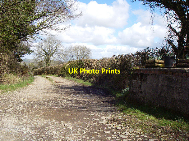 Photo 6"x4" Farm Track Felingwmuchaf c2006