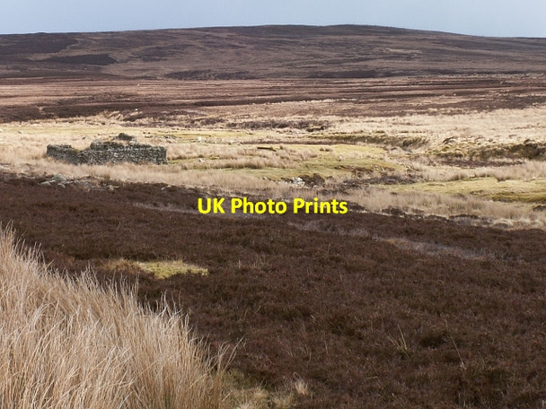 Photo 6"x4" Allt Bhuailteach Badnagie c2006