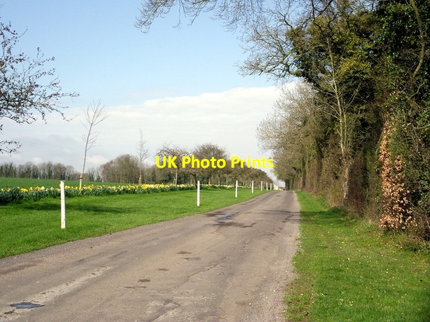Photo 6"x4" Driveway to West Stoke Farm Hunton\/SU4839 c2006
