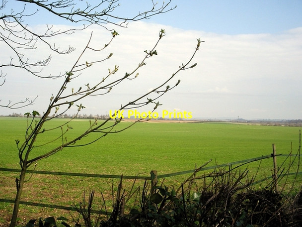 Photo 6"x4" Field west of Old Stoke Road Hunton\/SU4839 c2006
