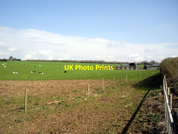 Photo 6"x4" Hunton Down Farm Hunton\/SU4839 c2006