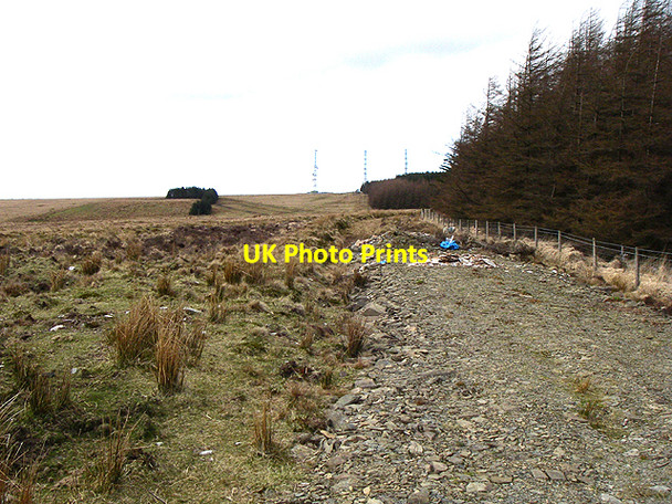 Photo 6"x4" Forestry Edge Gwernogle c2006