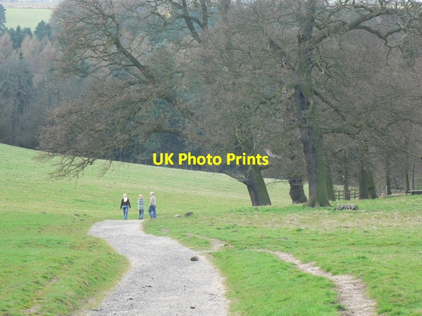 Photo 6"x4" Nan Pie, Harewood Estate Harewood\/SE3245 c2006