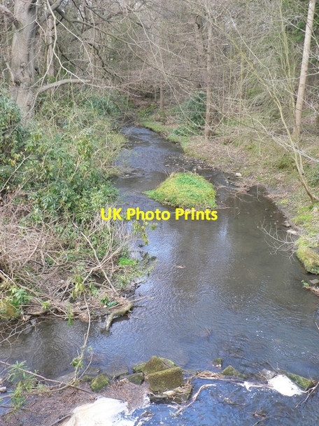 Photo 6"x4" Beck below New Bridge, Harewood Estate Harewood\/SE3245 c2006