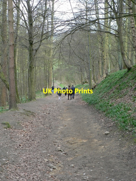 Photo 6"x4" Downhill path, Stub House Plantation Weardley c2006