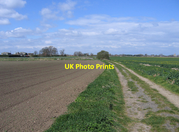 Photo 6"x4" Farm track, Crowland, Lincs Nene Terrace c2006