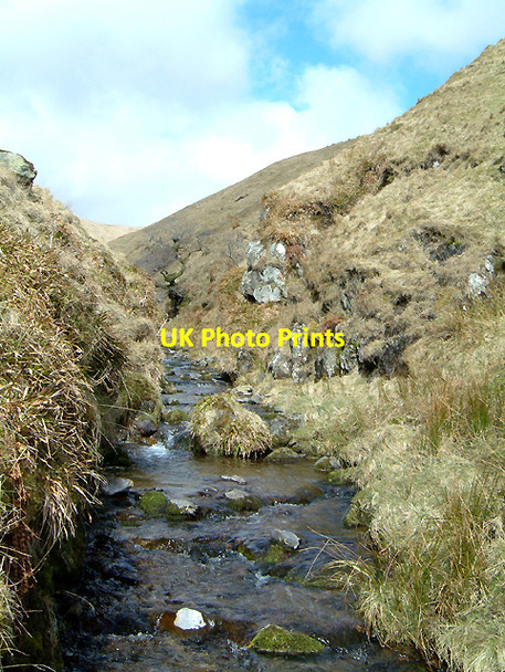 Photo 6"x4" Daiglen Burn Tillicoultry c2006