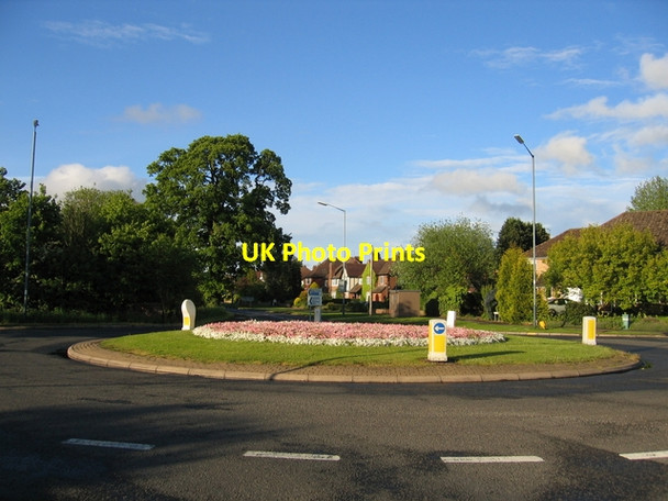 Photo 6"x4" Leicester Lane roundabout in bloom in May Blackdown\/SP3168 c2005