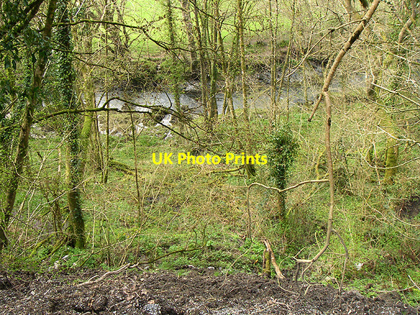 Photo 6"x4" Afon Cothi Llanfynydd\/SN5527 c2006