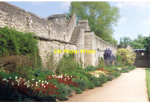 Photo 6"x4" New College gardens Oxford Oxford\/SP5106 c1994